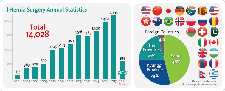 Hernia Surgery Annual Statistics - Total : 13,273